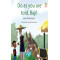Do As You Are Told, Baji!  by Lola Shoneyin - Paperback