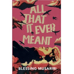All That It Ever Meant by Blessing Musariri - Paperback