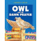 Owl and the Dawn Prayer by Hediyah Al-Amin - Paperback