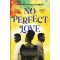 No Perfect Love By Adesuwa O’Man Nwokedi-Paperback
