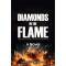 Diamonds in the Flame: A Novel by Theophilus Enemali - Paperback