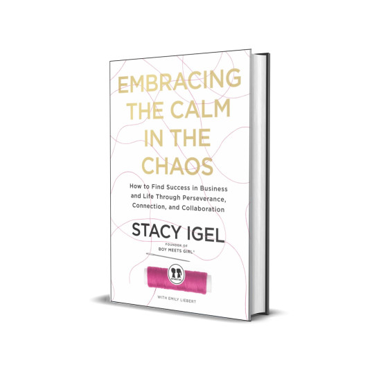 Embracing the Calm in the Chaos: How to Find Success in Business and Life Through Perseverance, Connection, and Collaboration by Stacy Igel -Hardback