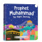 Prophet Muhammad : The Night Journey (Board Book) By Saniyasnain Khan
