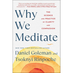 Why We Meditate: The Science and Practice of Clarity and Compassion by Goleman, Daniel Rinpochi, Tsoknyi 