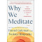 Why We Meditate: The Science and Practice of Clarity and Compassion by Goleman, Daniel Rinpochi, Tsoknyi 