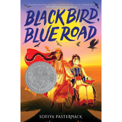 Black Bird, Blue Road Paperback by Sofiya Pasternack 