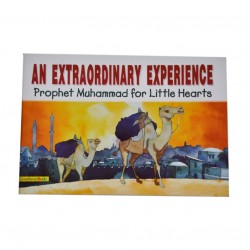 An Extraordinary Experience - Paperback