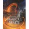Magnificent Magical Beasts: Inside Their Secret World by Holland, Simon Blythe, Gary (Ilt) Demaret, David (Ilt)-Hardcover