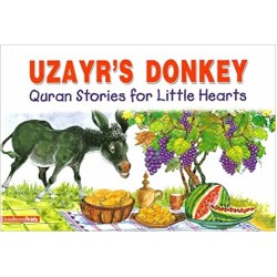 Uzayr's Donkey by Saniyasnain Khan - Paperback