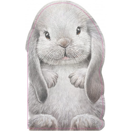 Furry Bunny: A Mini Touch and Feel Book - Board Book
