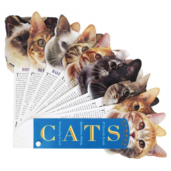 Cats (Fandex Family Field Guides) by Kathryn Petras