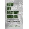 How We Destroy Nigeria: Haven for Financial Crimes & Corruption by John Walker Adetunji-Adeoye - Paperback 