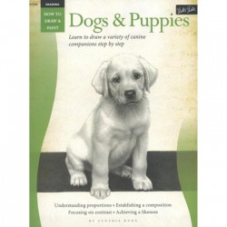 Dogs & Puppies (How to Draw & Paint) by Cynthia Knox - Paperback