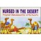 Nursed in the Desert by Saniyasnain Khan - Paperback