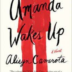 Amanda Wakes Up by Camerota, Alisyn-Paperback