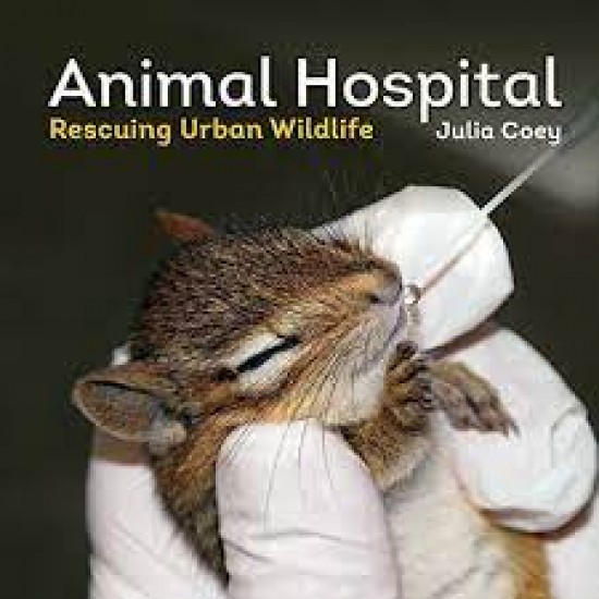Animal Hospital: Rescuing Urban Wildlife by Coey, Julia