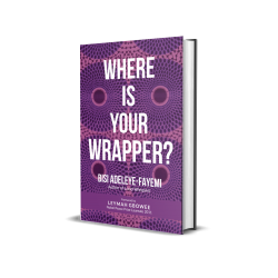 Where Is Your Wrapper? A riveting collection of essays by Bisi Adeleye-Fayemi - Paperback