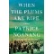 When the Plums Are Ripe by Patrice Nganang - Hardback