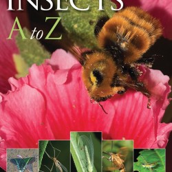 Insects A to Z by Stephen Marshall - Paperback