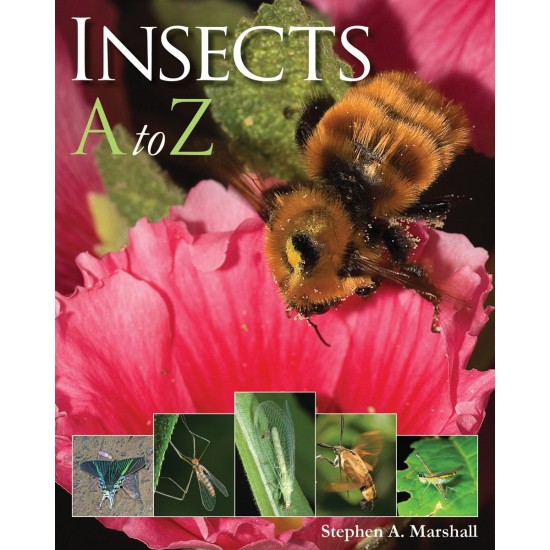 Insects A to Z by Stephen Marshall - Paperback