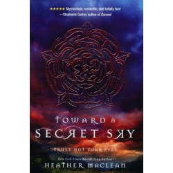 Toward a Secret Sky (Blink) by Maclean, Heather-Hardcover