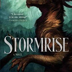 Stormrise by Boehme, Jillian-Paperback