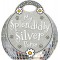 My Splendidly Silver Purse by Boon, Fiona
