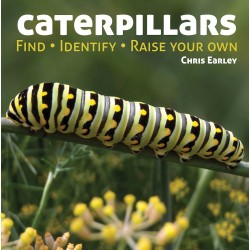 Caterpillars: Find - Identify - Raise Your Own by Earley, Chris-Hardback