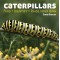Caterpillars: Find - Identify - Raise Your Own by Earley, Chris-Hardback