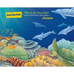 Why Is the Sea Salty?: And Other Questions About Oceans (Good Question!) by Richmond, Benjamin