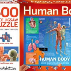 Human Body: 500 Piece Jigsaw Puzzle (Puzzlebilities)
