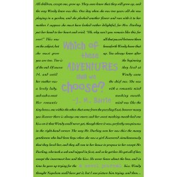 A Novel Journal: Peter Pan (Compact) by Barrie, J. M.