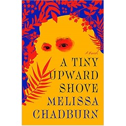 A Tiny Upward Shove by Melissa Chadburn - Hardcover - April 12, 2022