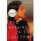The Affairs of the Falcons by Rivero, Melissa-paperback