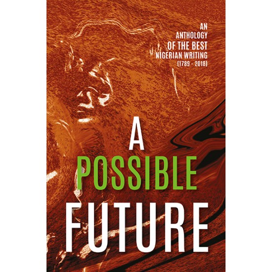 A Possible Future: An Anthology of the Best Nigerian Writing by Farafina Trust - Paperback
