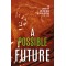 A Possible Future: An Anthology of the Best Nigerian Writing by Farafina Trust - Hardback