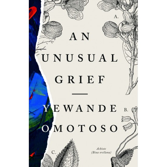 An Unusual Grief By Yewande Omotoso - Paperback