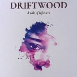 Driftwood : A Tale Of Leftovers by Ayotunde Mamudu Paperback