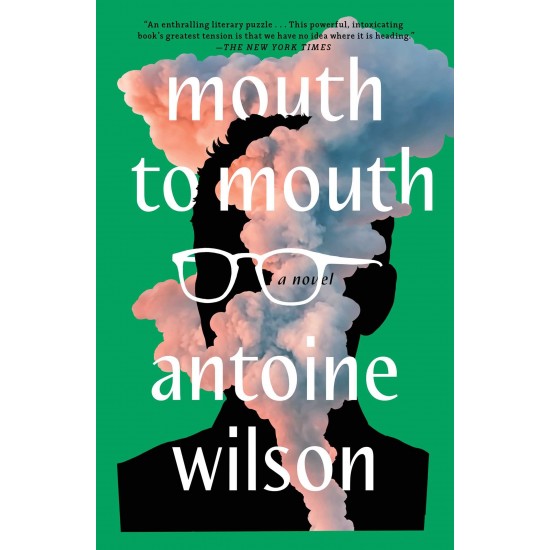 Mouth to Mouth: A Novel by Antoine Wilson - Hardcover  