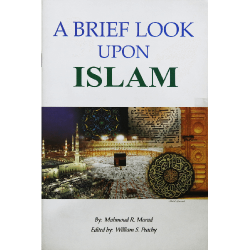 A Brief look upon Islam by Mahmoud R. Murad - Paperback
